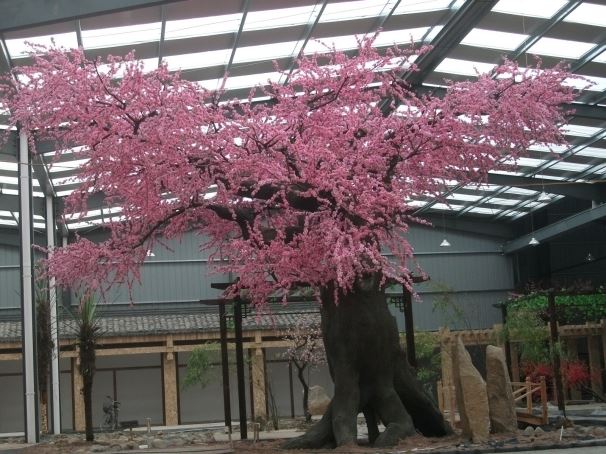 pink peach tree
