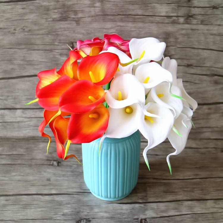 Calla Lily