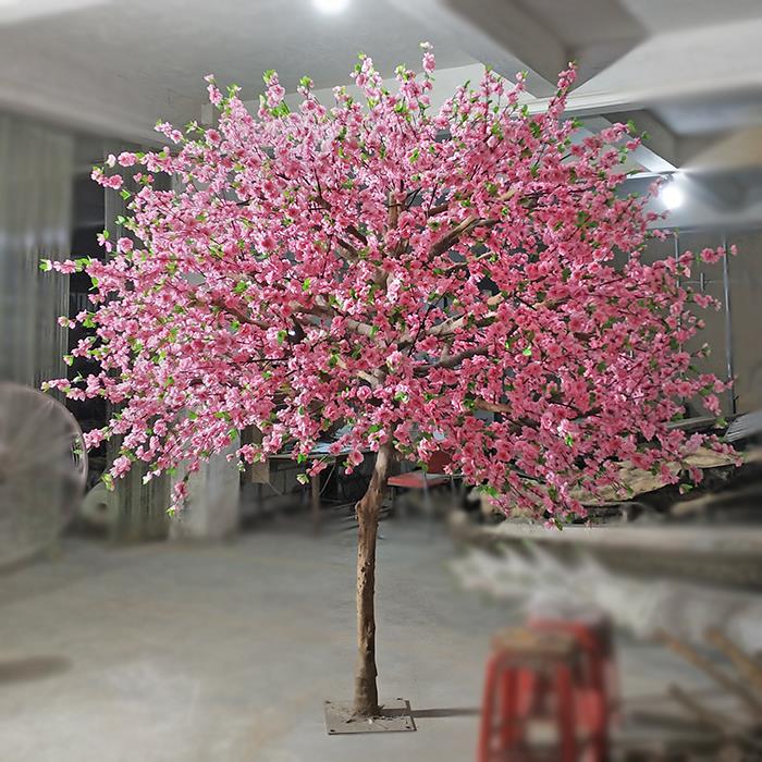 Peach blossom trees