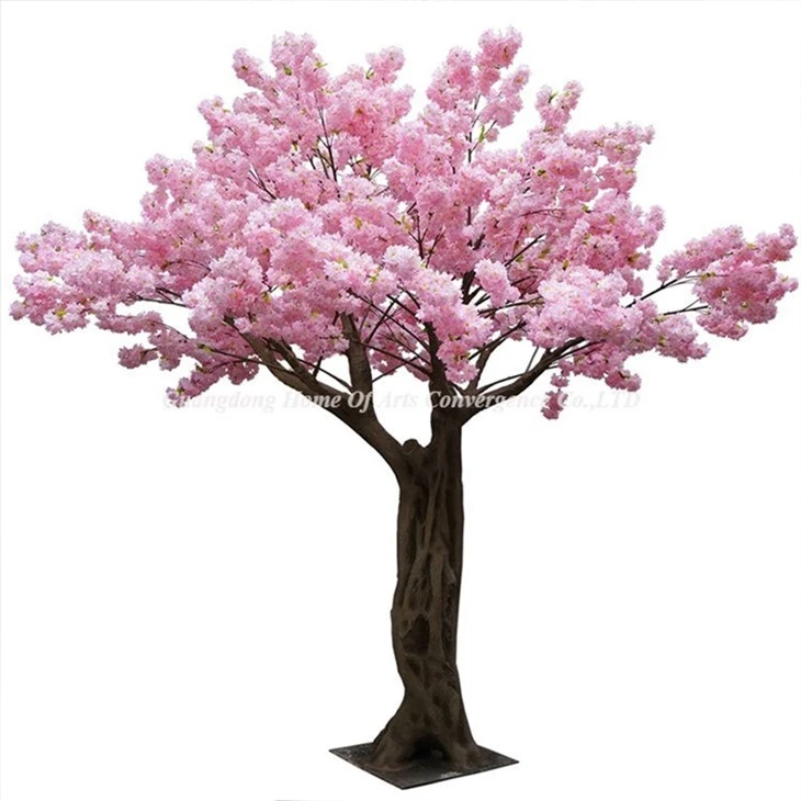 4m Tinggi Pokok Cherry Blossom Merah Jambu Muda