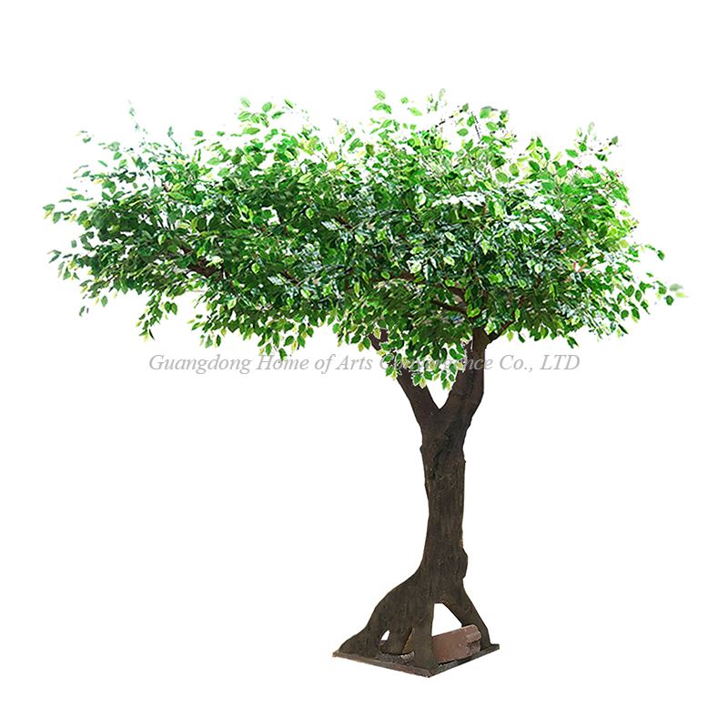 Simulasi Pokok Banyan Satu sisi