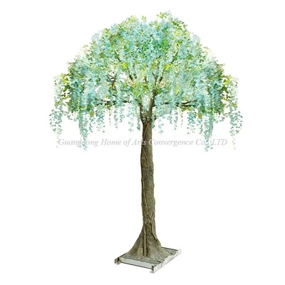 Pokok wisteria sutera biru 9ft