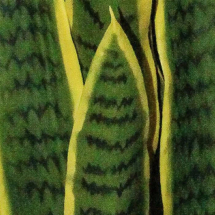 57797cbcdb3691b5b6d41e3da8cd601c