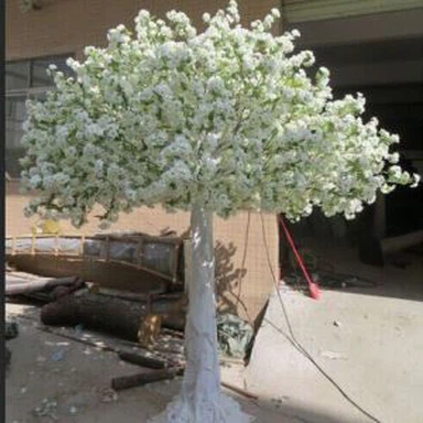 Pokok Coklat Tulen Putih Buatan