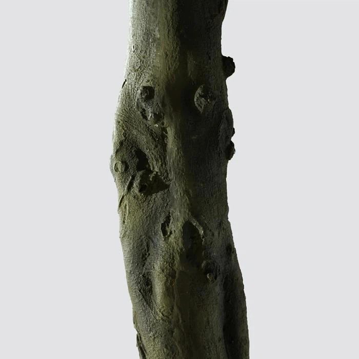 DSC03896