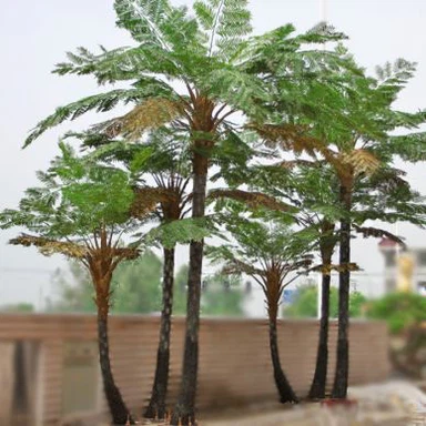 Landscaping Buatan Alsophila Spinulosa Pokok